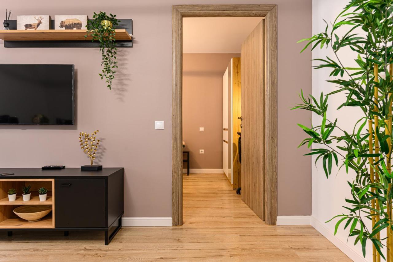 Schei Gate Apartment Brasov Exterior photo